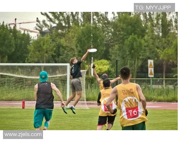 飞盘热潮席卷成都：深入了解飞盘队的训练与竞技状态